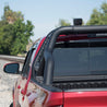 ARMORDILLO® CR1 Heavy Duty Roll Bar Chase Rack (For Mid Size Truck)