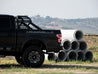 ARMORDILLO® CR2 Heavy Duty Adjustable Roll Bar Chase Rack (Fits Most Mid Size and Full Size Trucks